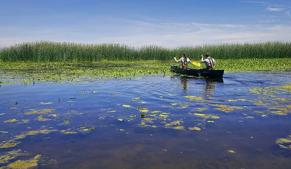 Wildlife biologists at Kern National Wildlife Refuge (photographed 2017)