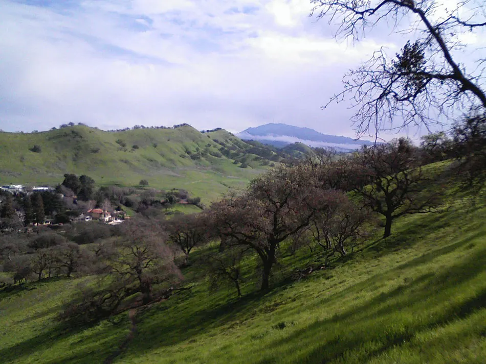 A view of Walnut Creek, California (photographed 2013)