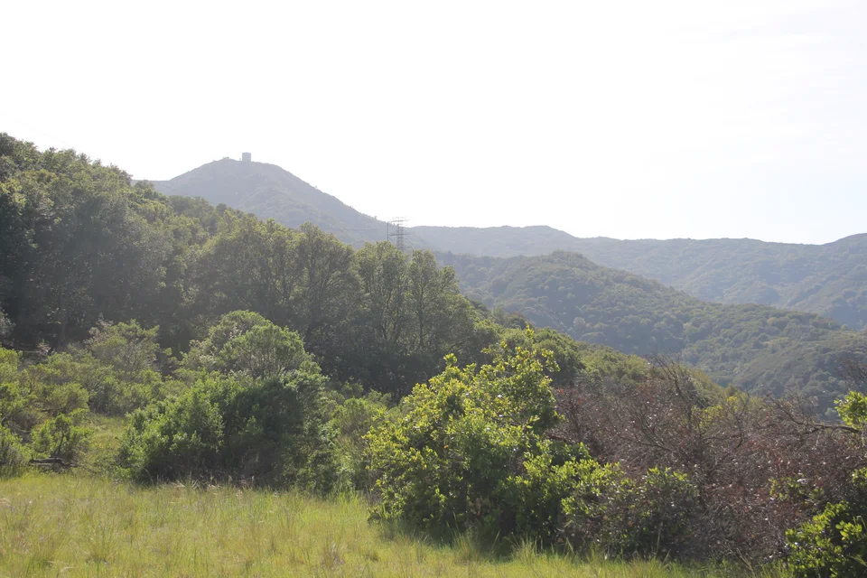 Mount Umunhum seen from Jacques Ridge in Sierra Azul Preserve