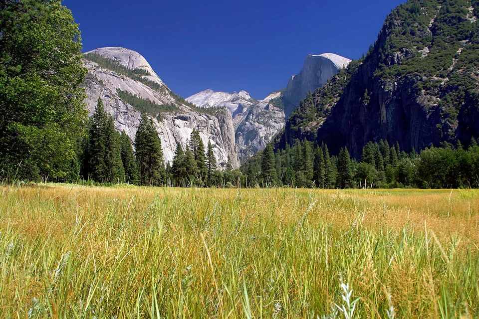 Yosemite Valley meadow with granite cliffs beyond